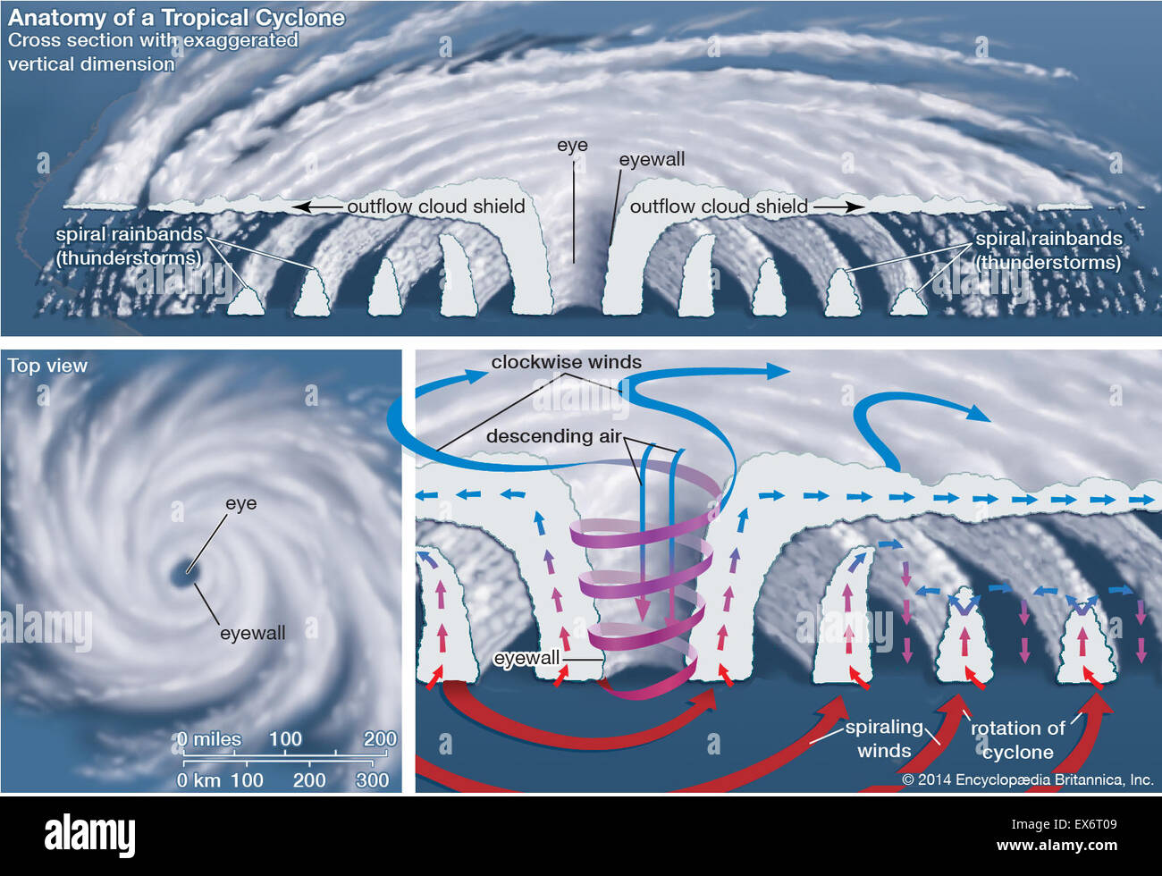 Anatomia di un ciclone tropicale Foto Stock
