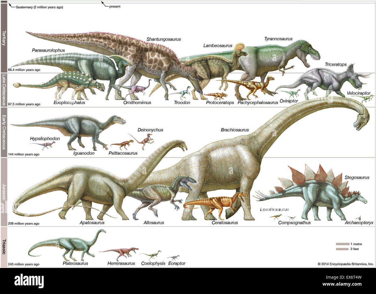 I dinosauri in scala Foto Stock