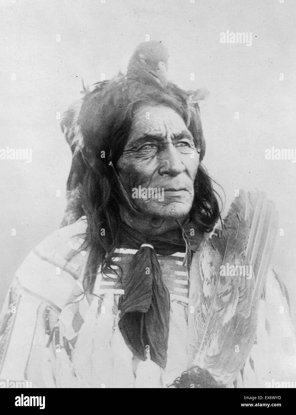 Stampa fotografica di 6 piscina lunga lontra, del corvo Prenotazione fotografata da Richard Throssel (1882-1933) un fotografo Cree, che ha documentato la vita sul Crow prenotazione all'inizio del XX secolo. Datata 1907 Foto Stock