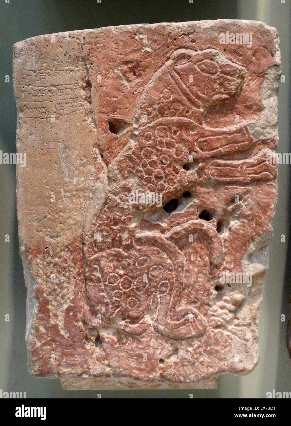Aramaico, metà-10secolo a.c. rilievo di un leopardo, da Tell Halaf (antica Guzana), a nord-est della Siria Tell Halaf (in Al Hasakah governatorato del nord-est della Siria, vicino al confine turco Foto Stock