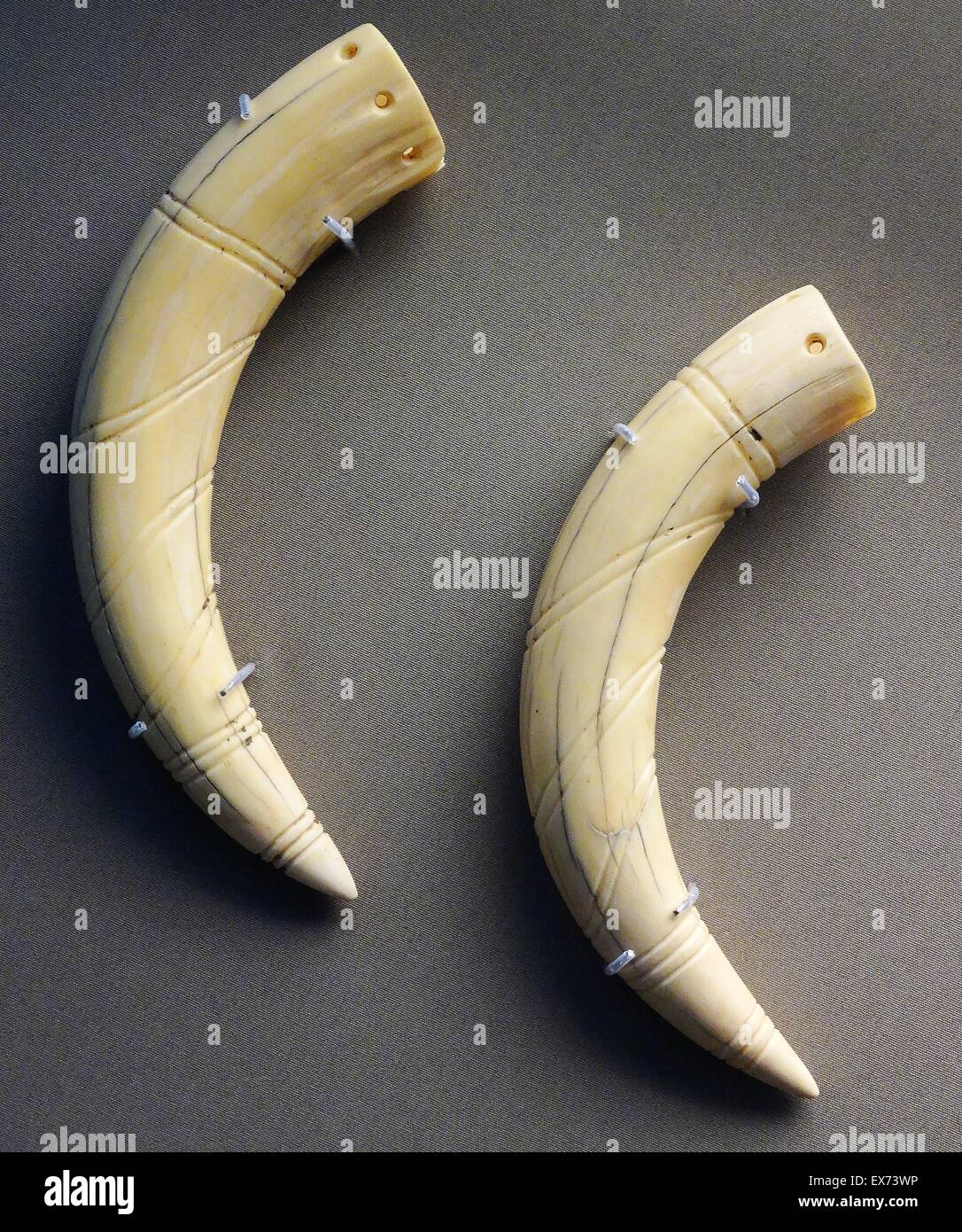 Zanne d'avorio o osso nella forma dei denti incisivi di un ippopotamo, utilizzata per respingere il male girando la potenza dell'animale contro la stessa. Inizio Predynastic, egiziano (Naqada 1) 3000-2600 A.C. Foto Stock