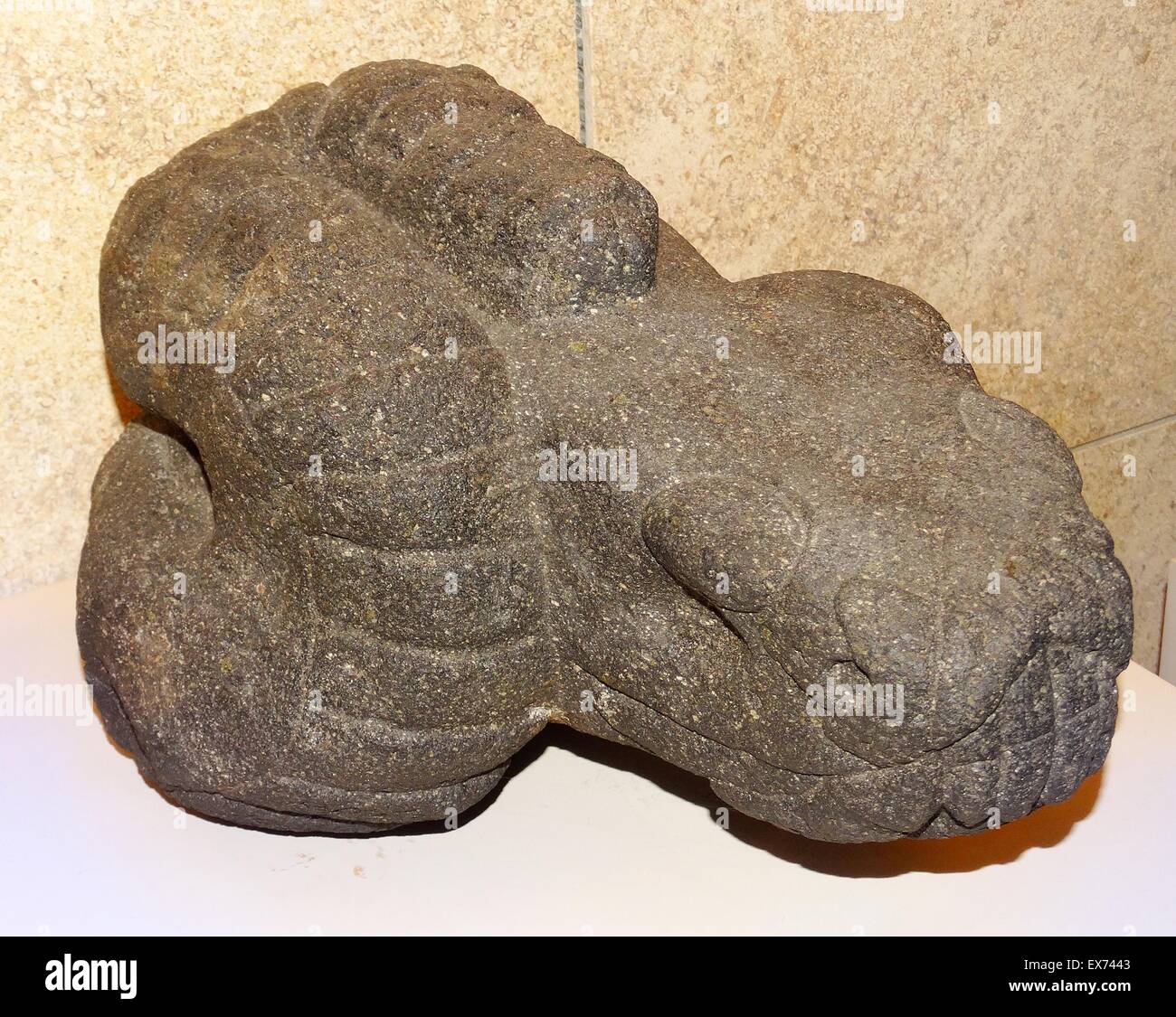 Pietra azteca snake, scultura in pietra AD 1300-1523 Foto Stock