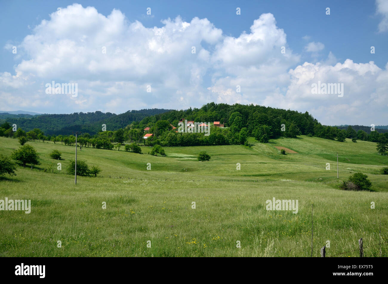 Villaggio di montagna circondato da pini sotto il cielo blu Foto Stock