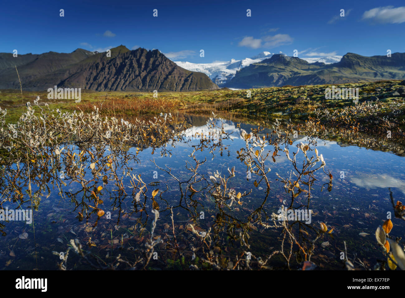 Rientrano paesaggi Skaftafell National Park, ghiacciaio Svinafellsjokull in background, Islanda. Foto Stock