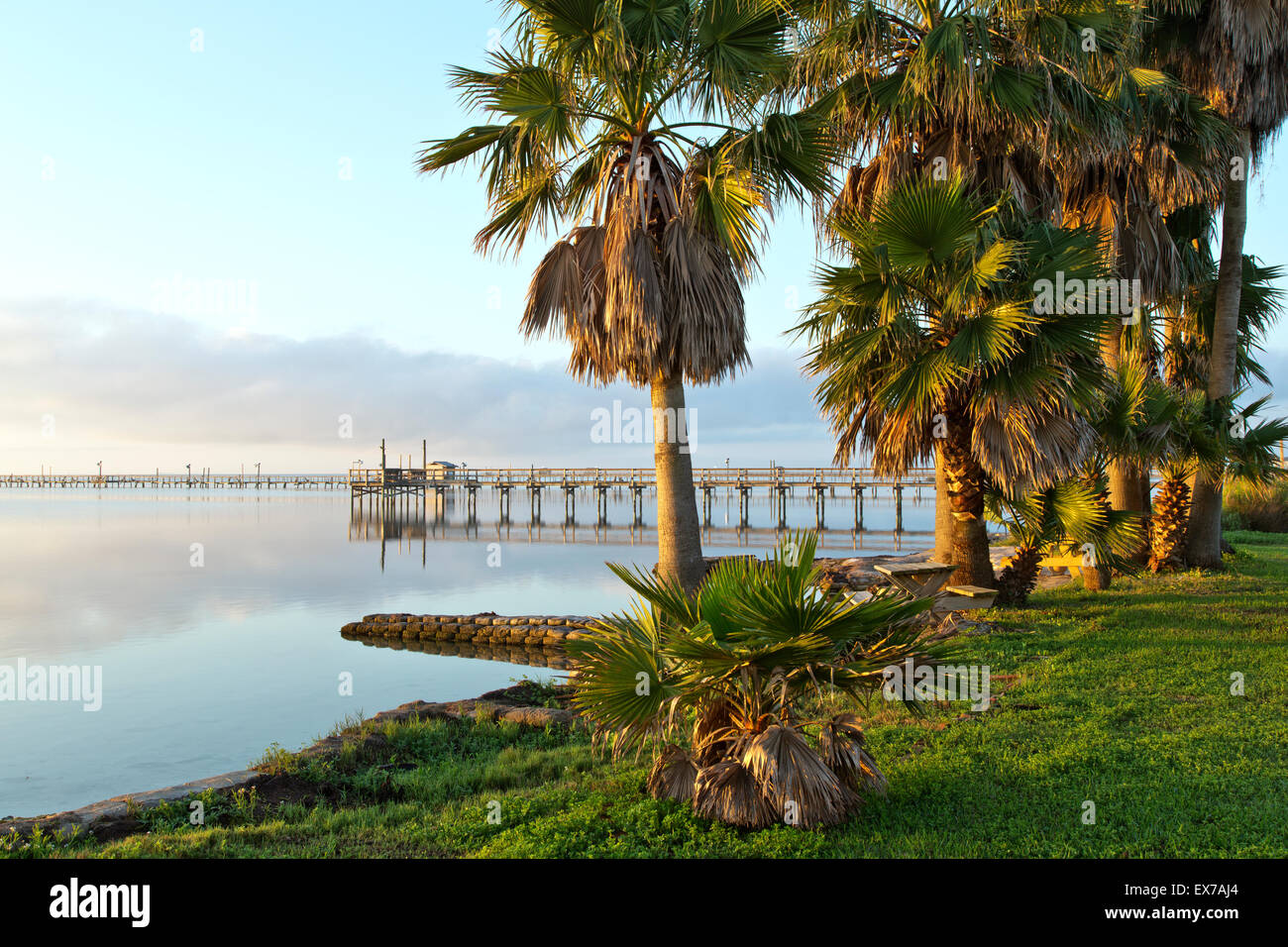 La pesca del molo, palme confinante Aransas Bay. Foto Stock