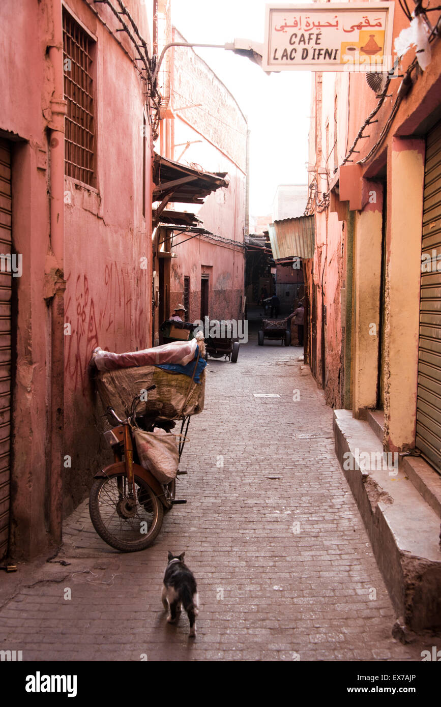 Strada tipica scena di Marrakech, Marocco Foto Stock
