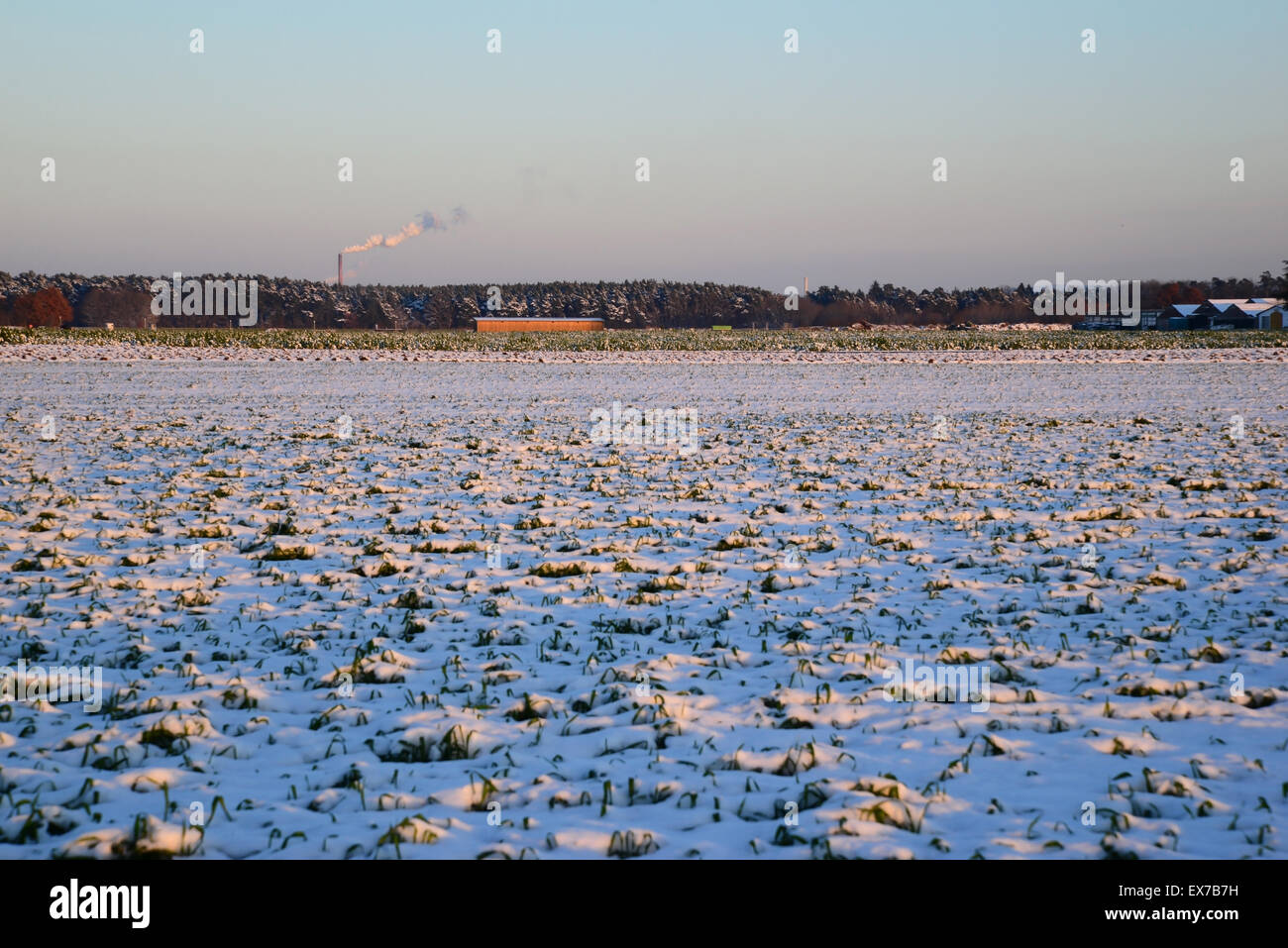 Il fumo proveniente da un camino - inverno Foto Stock