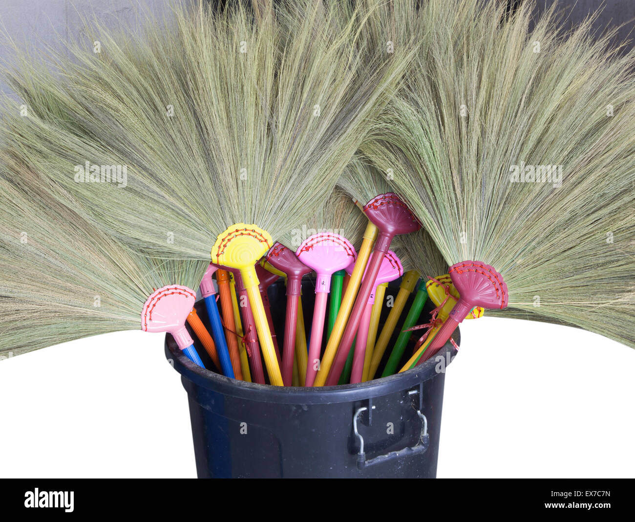 Piano di erba scopa isolati su sfondo bianco. Foto Stock