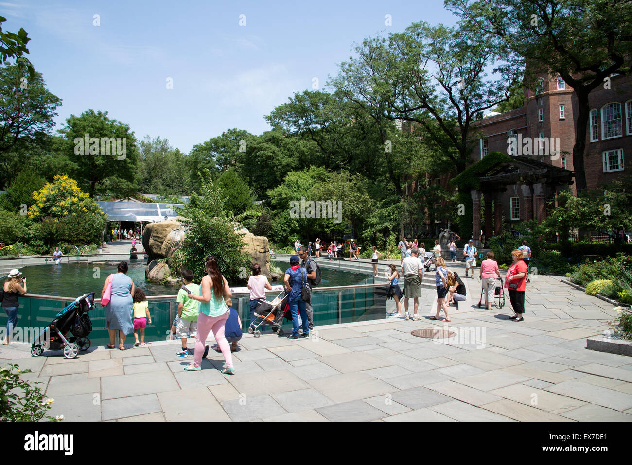 I visitatori attorno ai leoni di mare area a Central Park Zoo Manhattan New York STATI UNITI D'AMERICA Foto Stock