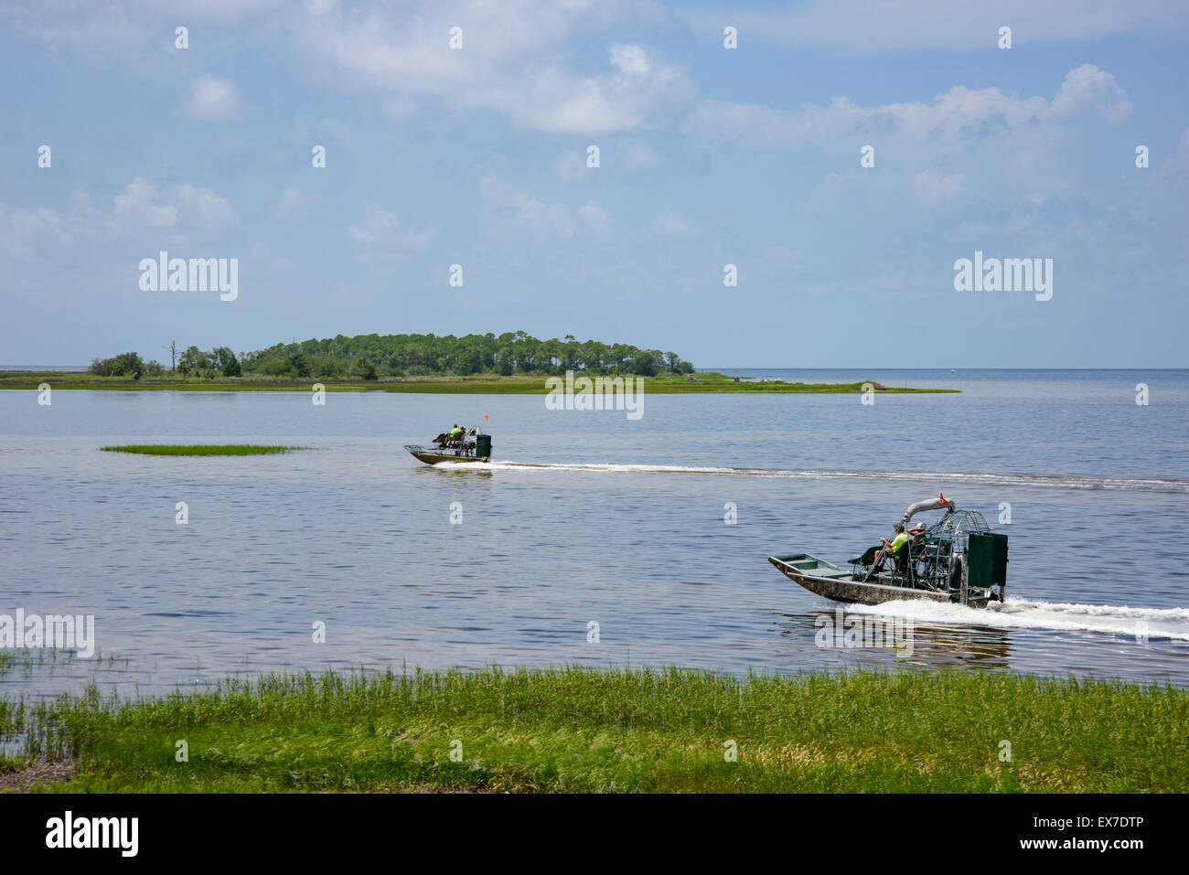 Airboats a Hagen's Cove, Big Bend Wildlife Management Area Steinhatchee, Florida Foto Stock