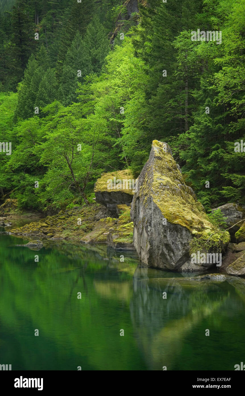 La Skagit River Gorge, Ross Lake National Recreation Area, North Cascades Washington Foto Stock