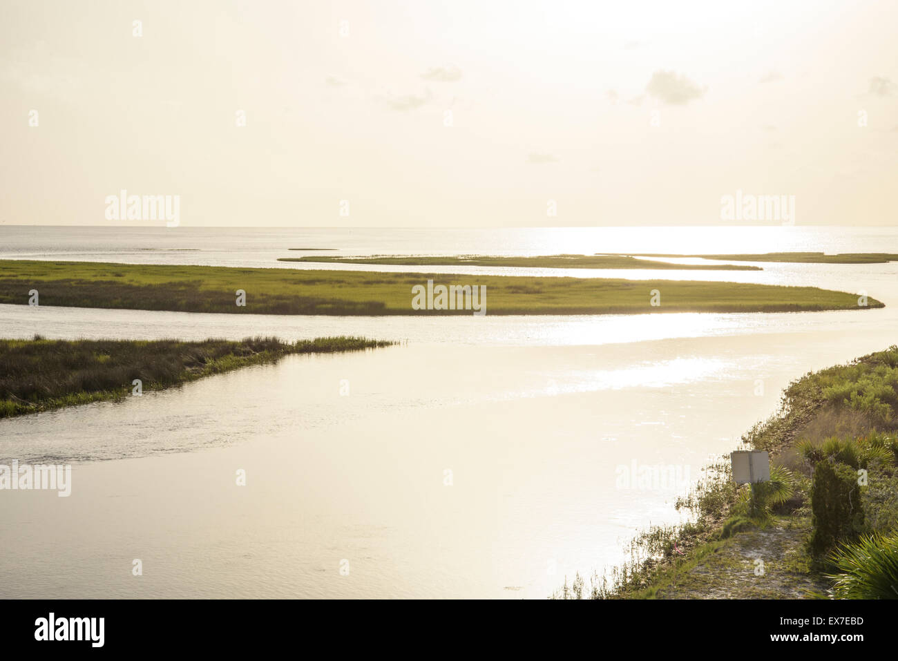 La Palude Salata pesce fodera Creek, Big Bend Seagrasses Aquatic preservare, Florida Foto Stock