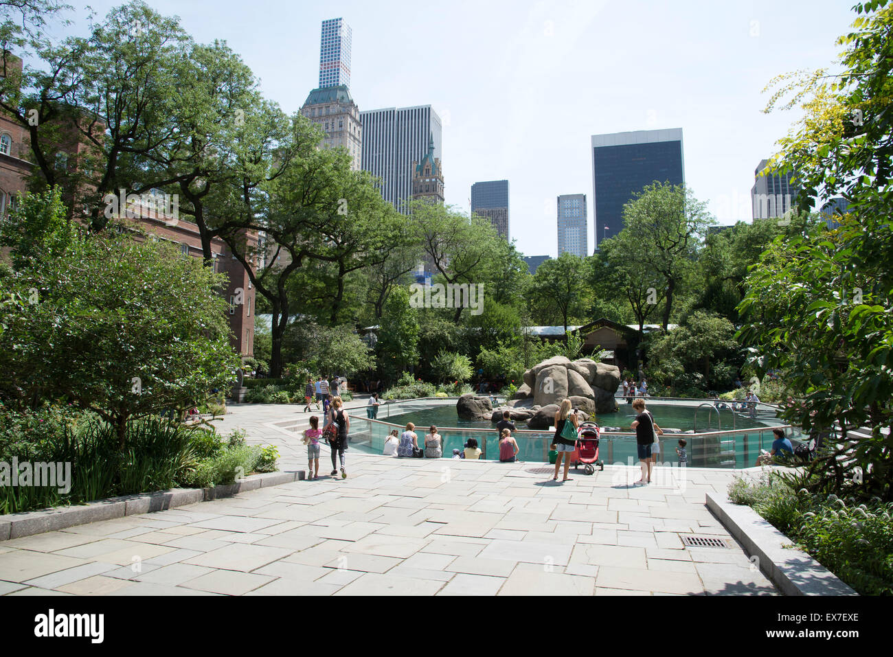 I visitatori attorno ai leoni di mare area a Central Park Zoo Manhattan New York STATI UNITI D'AMERICA Foto Stock