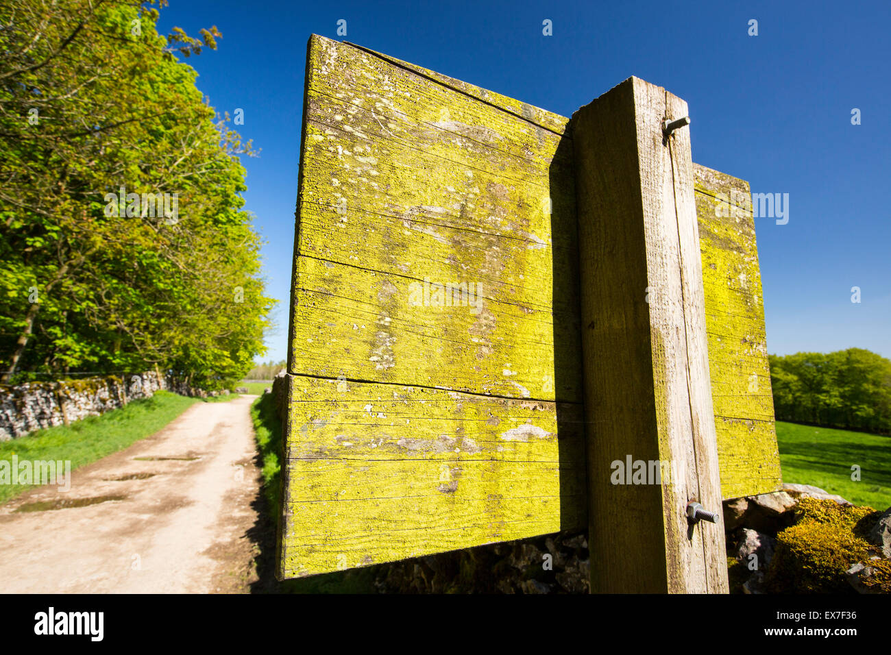 Le Alghe verdi su un cartello in legno vicino al Clapham, Yorkshire Dales, UK. Foto Stock