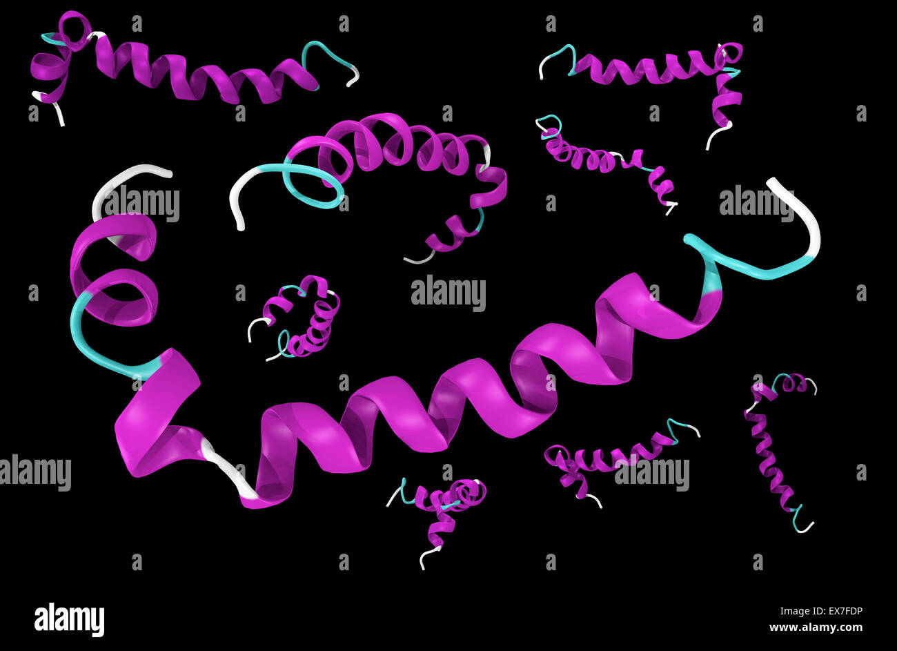 Beta amiloide peptidi che costituiscono il componente principale delle placche amiloidi presenti nei cervelli di pazienti Alzheimer. Foto Stock