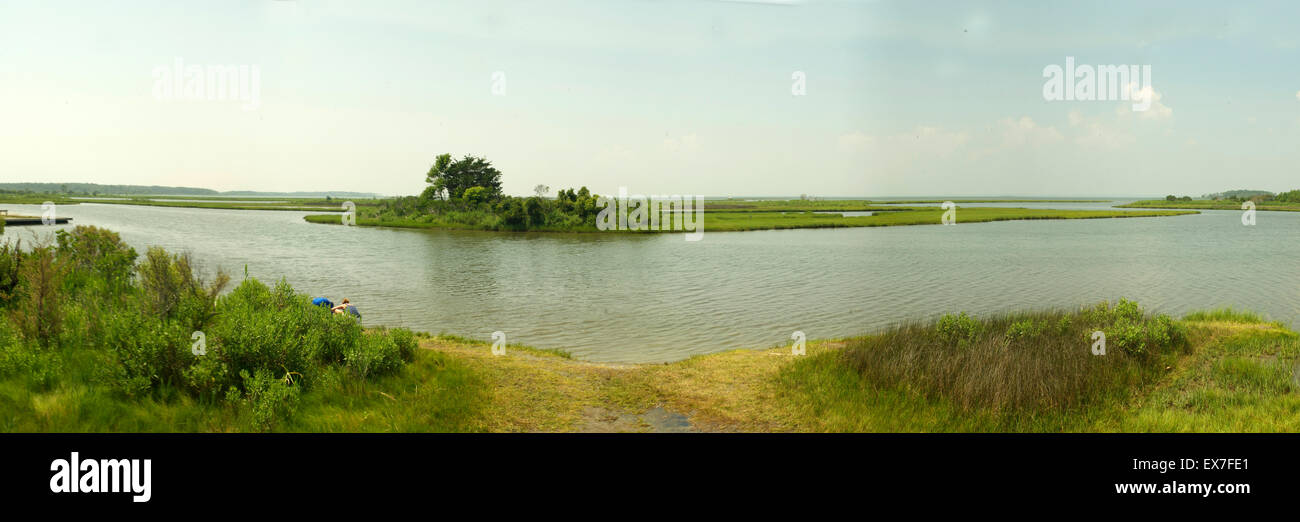 La Palude Salata a Assateague Island National Seashore, Maryland Foto Stock