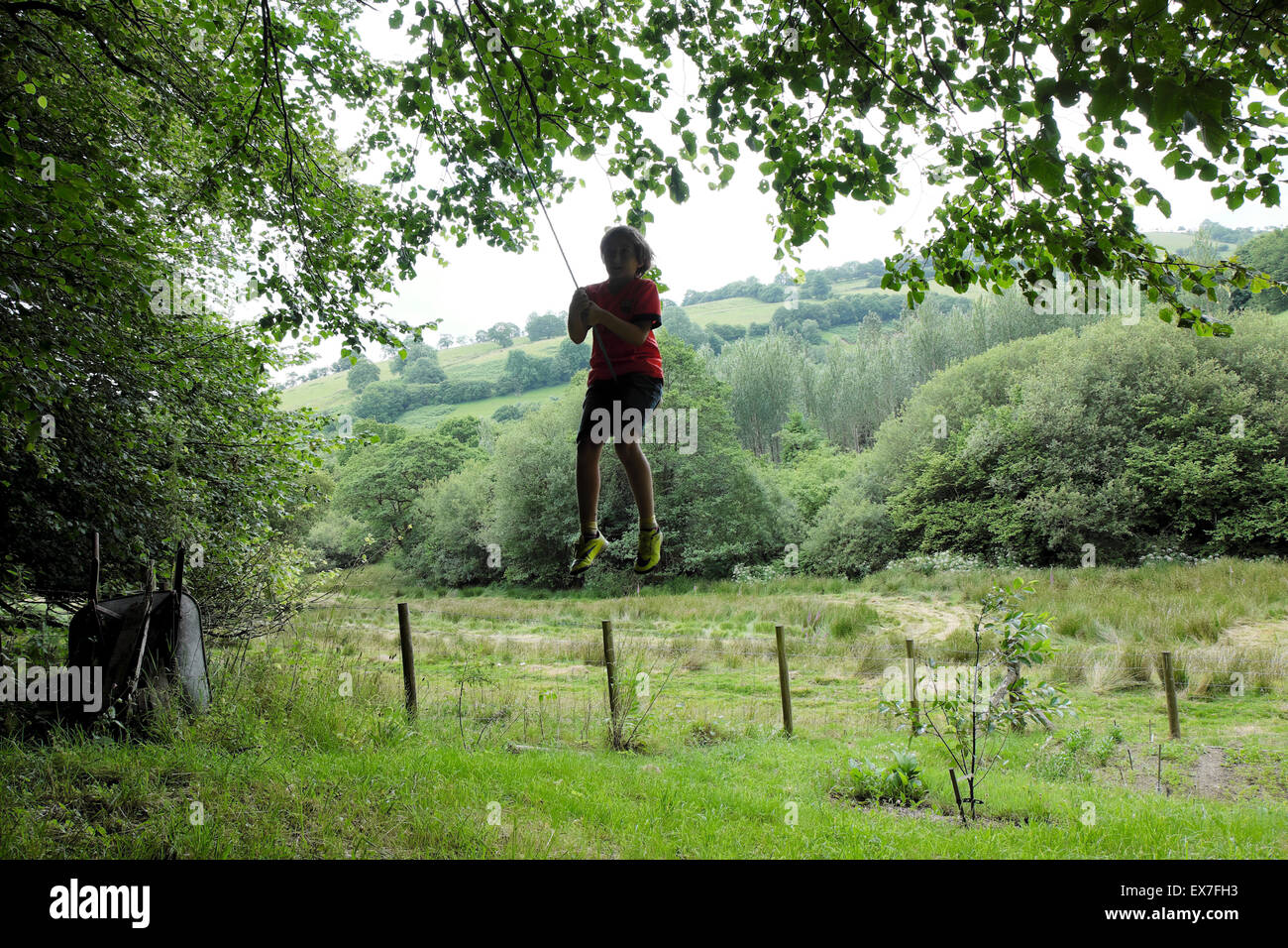 Ragazzo di età compresa tra i 10 giocando al di fuori su di un altalena nel giardino rurale con vista della campagna, Carmarthenshire, Wales UK KATHY DEWITT Foto Stock