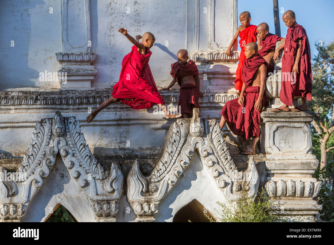 Il debuttante monaci jumping picchi a forcella Salay Soun Kyaung Taw Gyi monastero, Myanmar Foto Stock