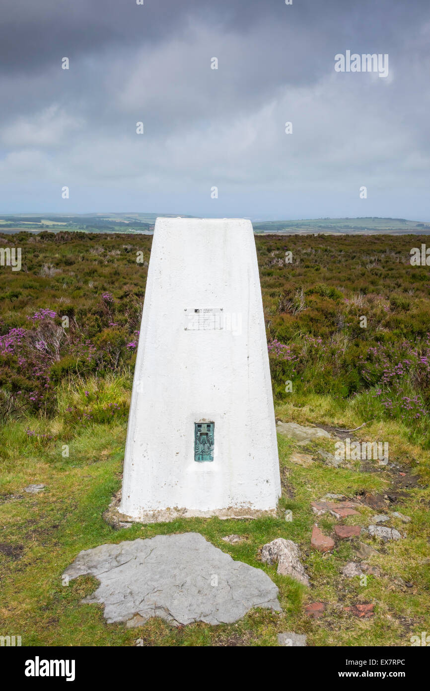 Un Ordnance Survey monumento un permanente trigonometrical land survey marcatore su Beacon Hill Danby North Yorkshire Foto Stock