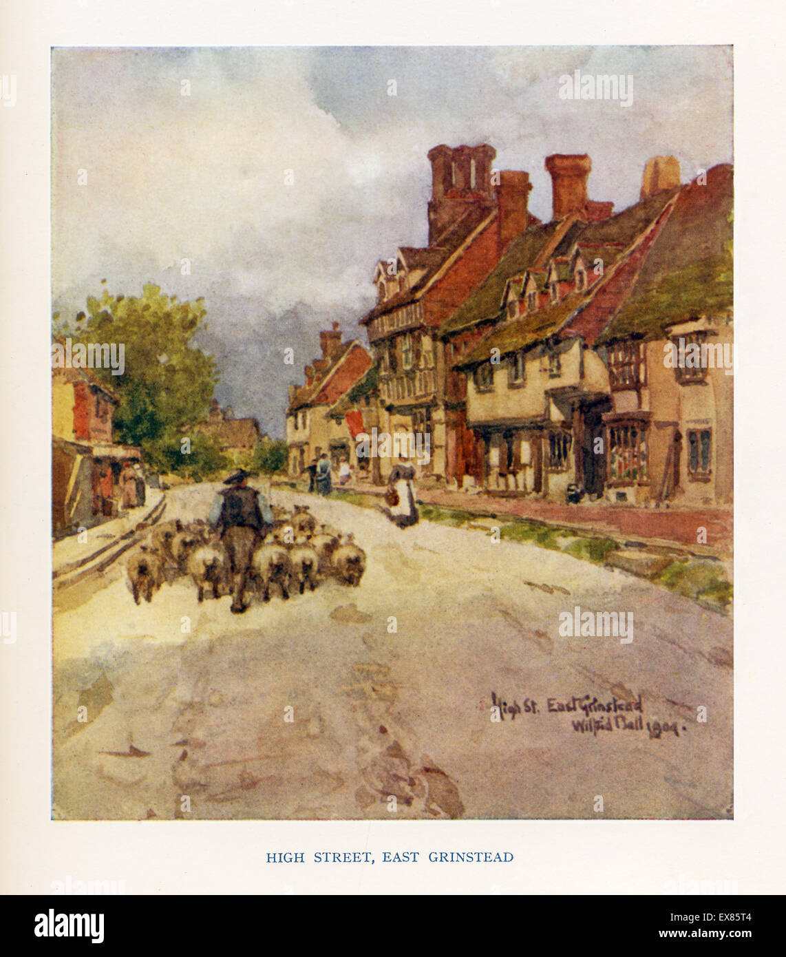 High Street, East Grinstead 1904 acquerello di un gregge di pecore essendo pilotati attraverso la città Foto Stock