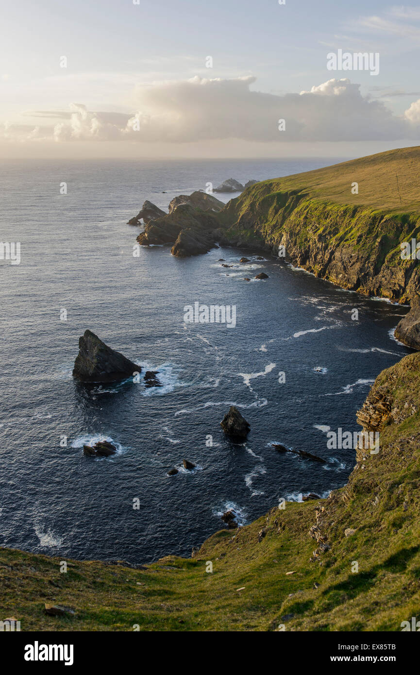Scogliere in Hermaness Riserva Naturale, Hermaness, Unst, isole Shetland, Scotland, Regno Unito Foto Stock
