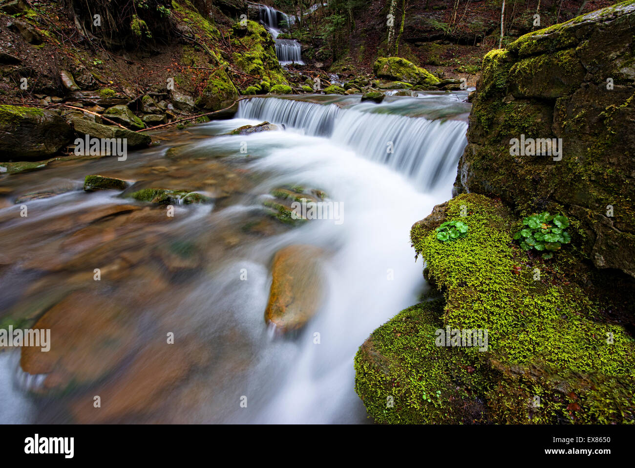 Cascata nella Foresta, Parco Nazionale delle Foreste Casentinesi, Emilia Romagna, Toscana, Italia Foto Stock