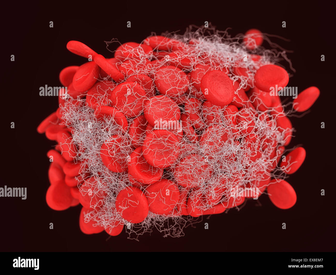 Coagulo di sangue. Foto Stock