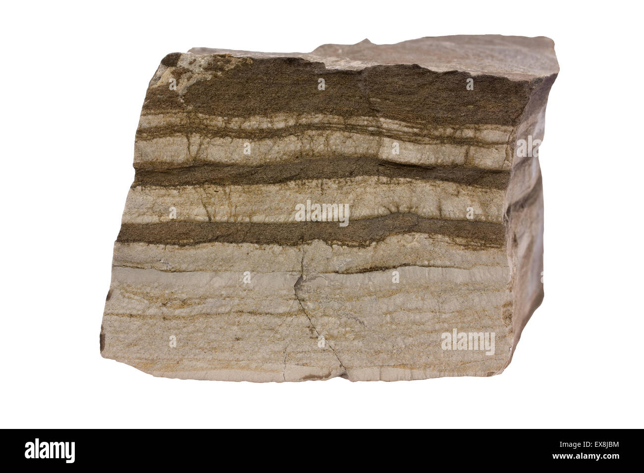 Calcare con strati mudstone Foto Stock