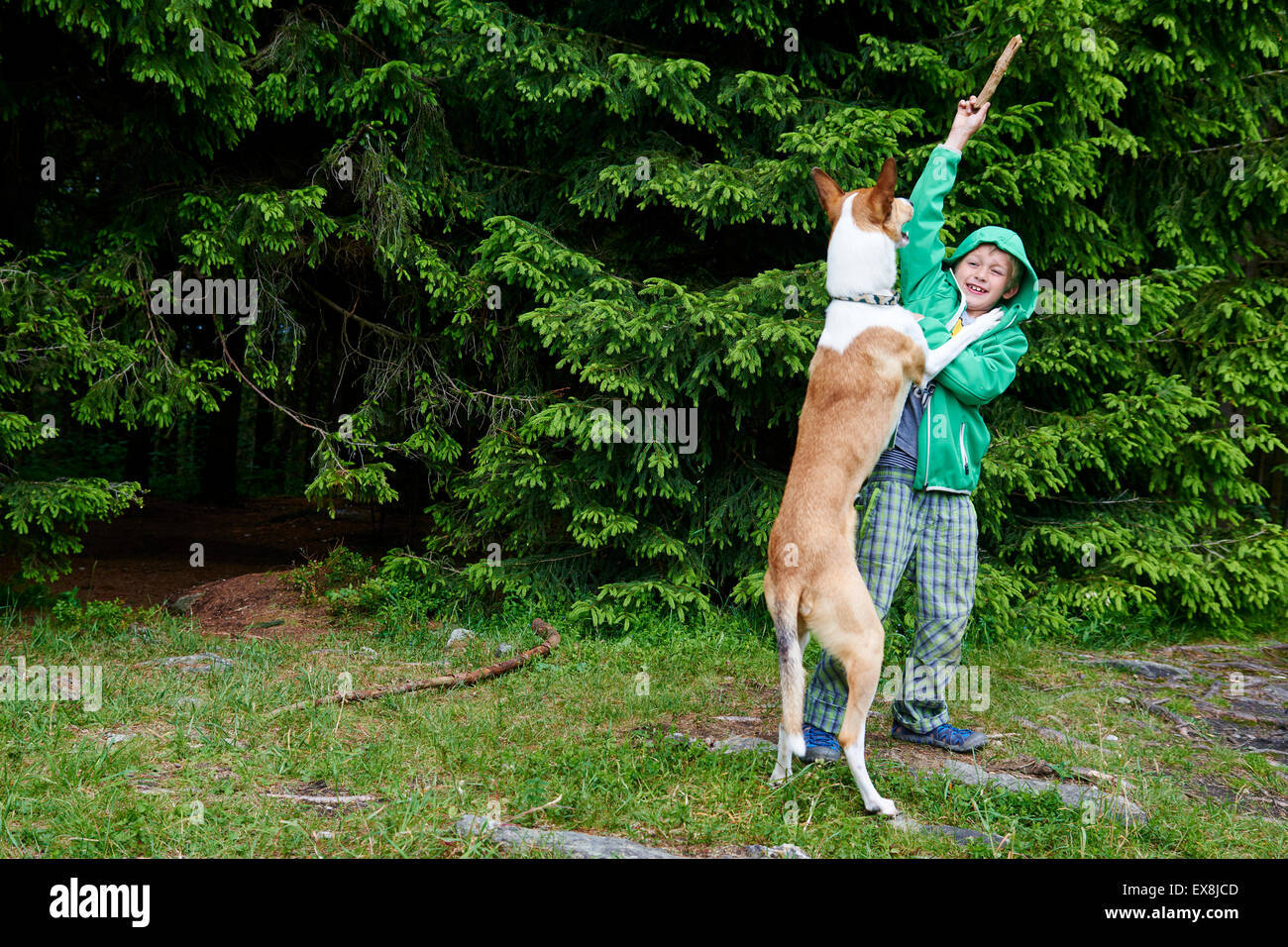 Ragazzo giovane all'esterno la riproduzione e gettando stick per il cane nella foresta Foto Stock