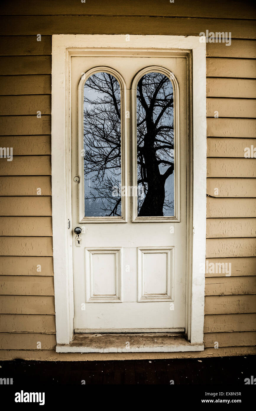 Una vecchia porta con due lastre di vetro riflette un creepy cercando tree. Foto Stock