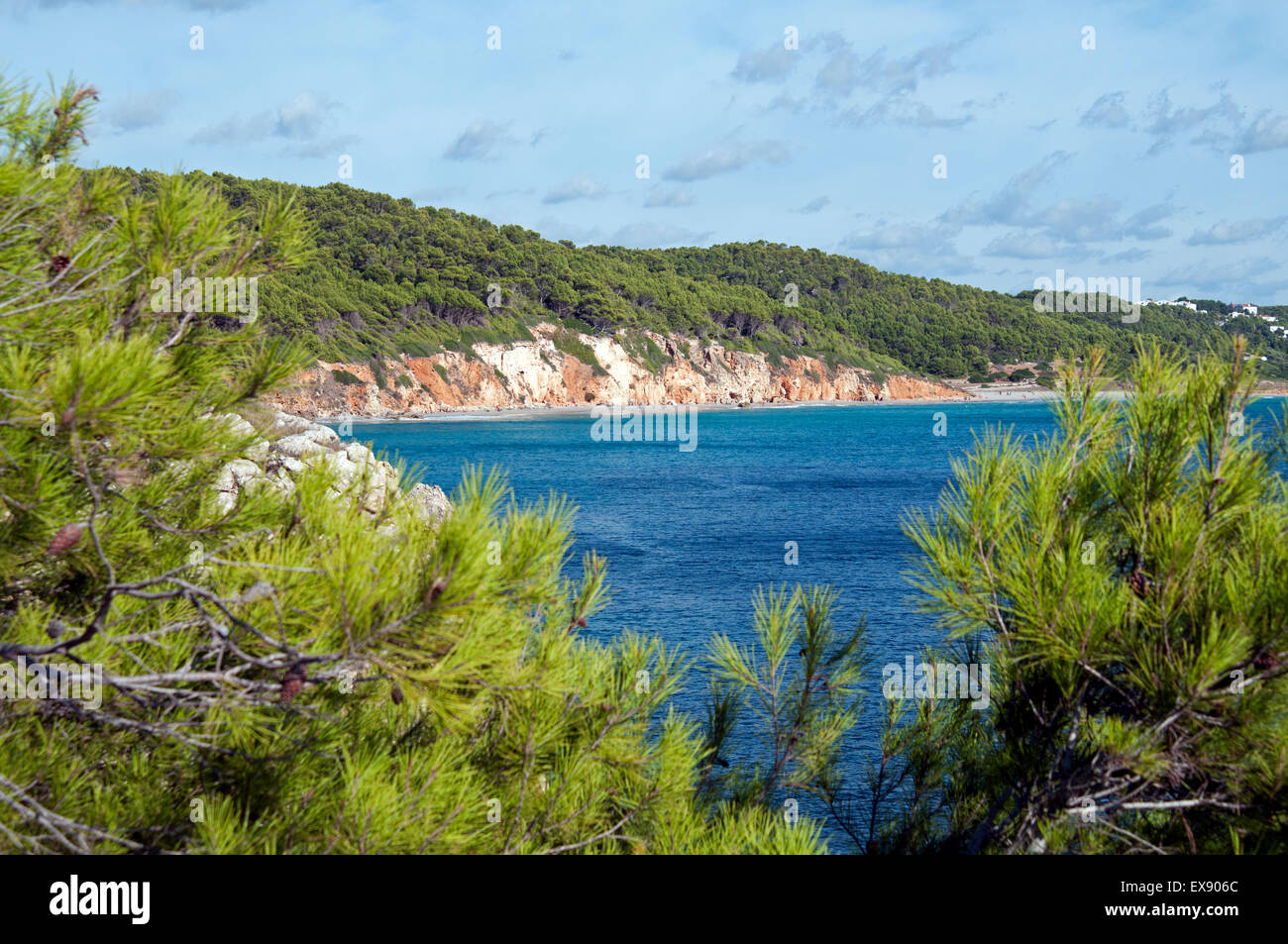 Lucertole da mare sotto le scogliere rocciose alla fine della spiaggia di Binigaus sull isola di Minorca spagna Foto Stock