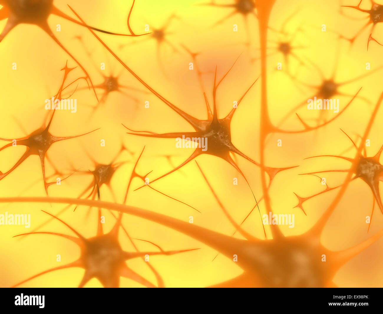Illustrazione di neuroni del cervello. Foto Stock
