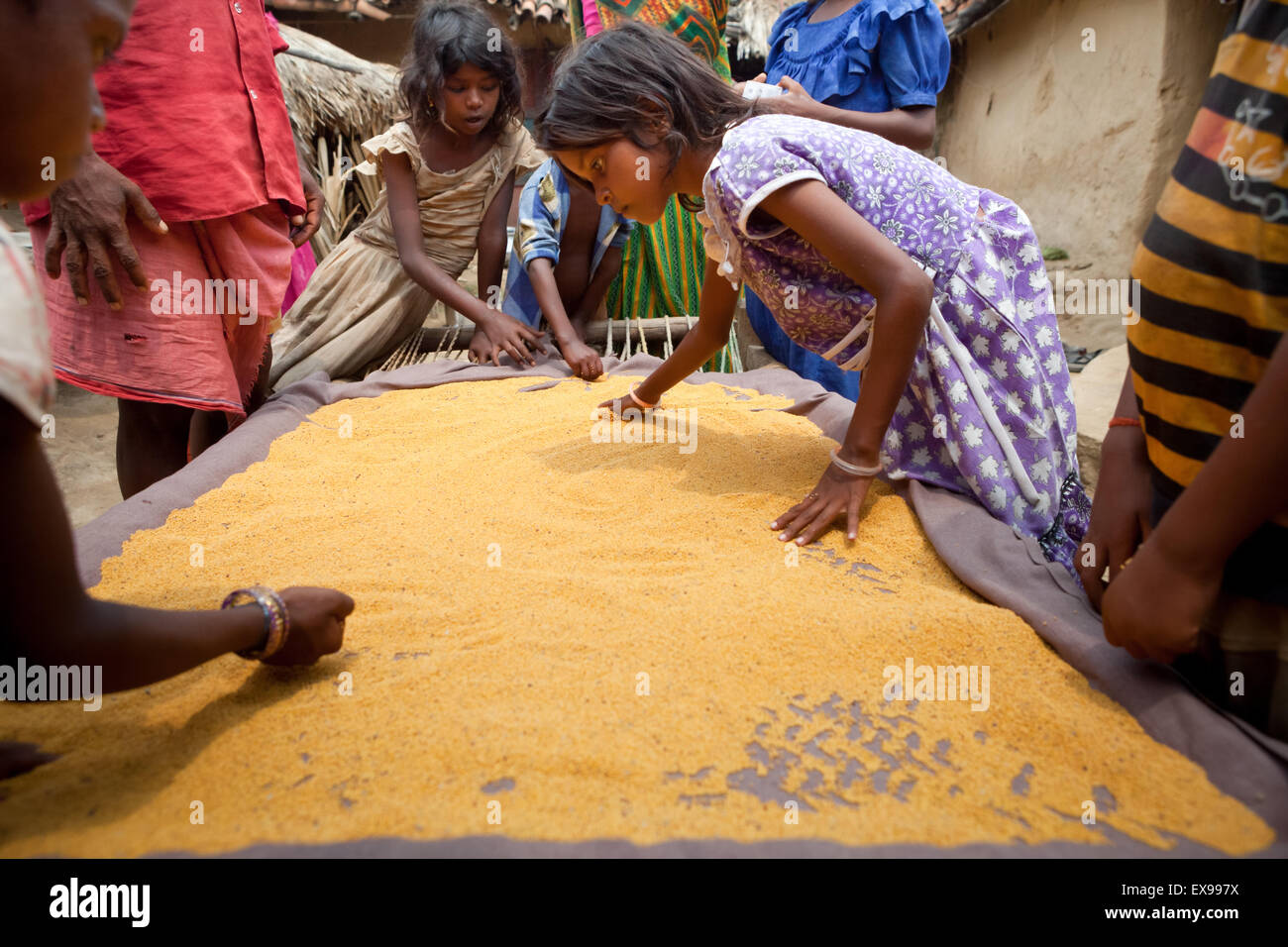 Bambini che asciugano le lenticchie al sole. Foto Stock