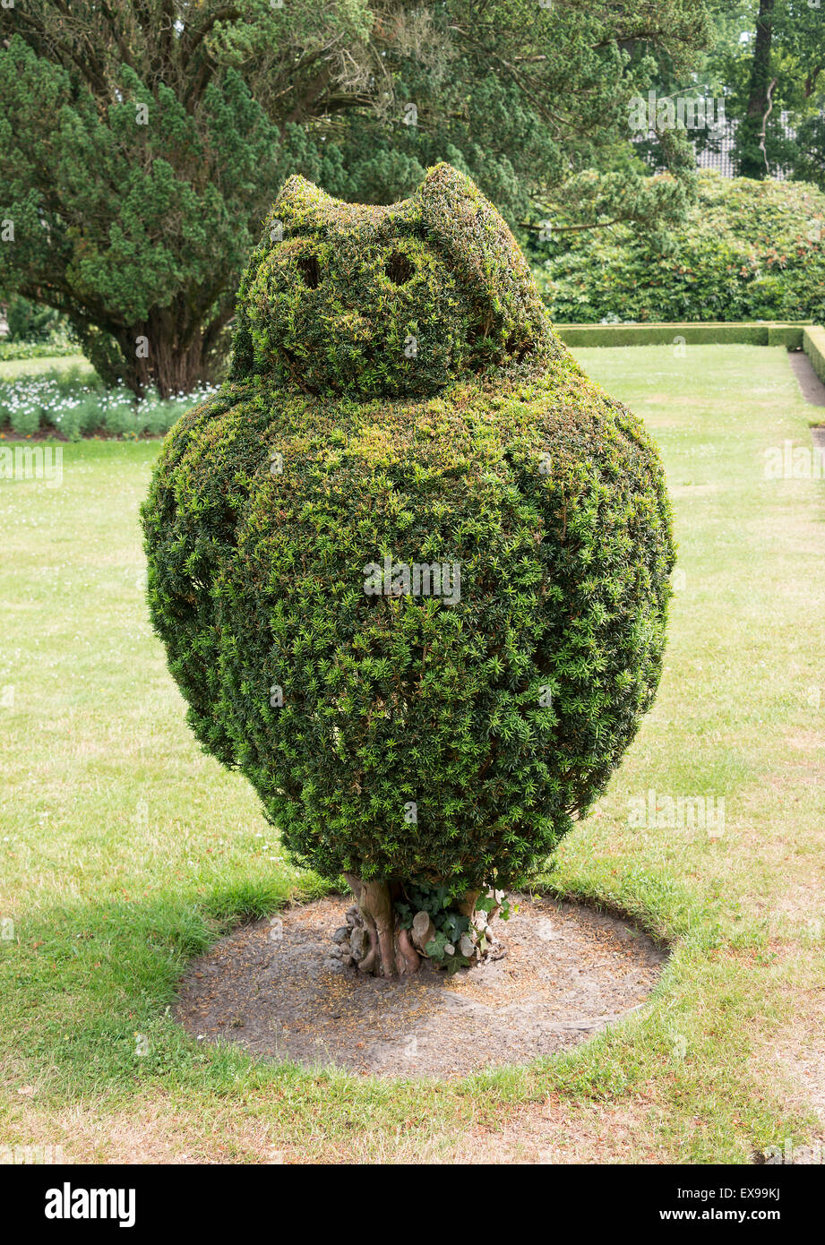 Verde grande buxus albero nel giardino inglese potato come un gufo uccello Foto Stock