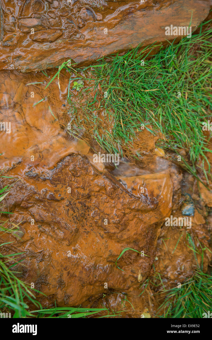 Molla Chalybeate. Acqua ricca di ossido di ferro. Snowdonia, Galles del Nord, Regno Unito Foto Stock