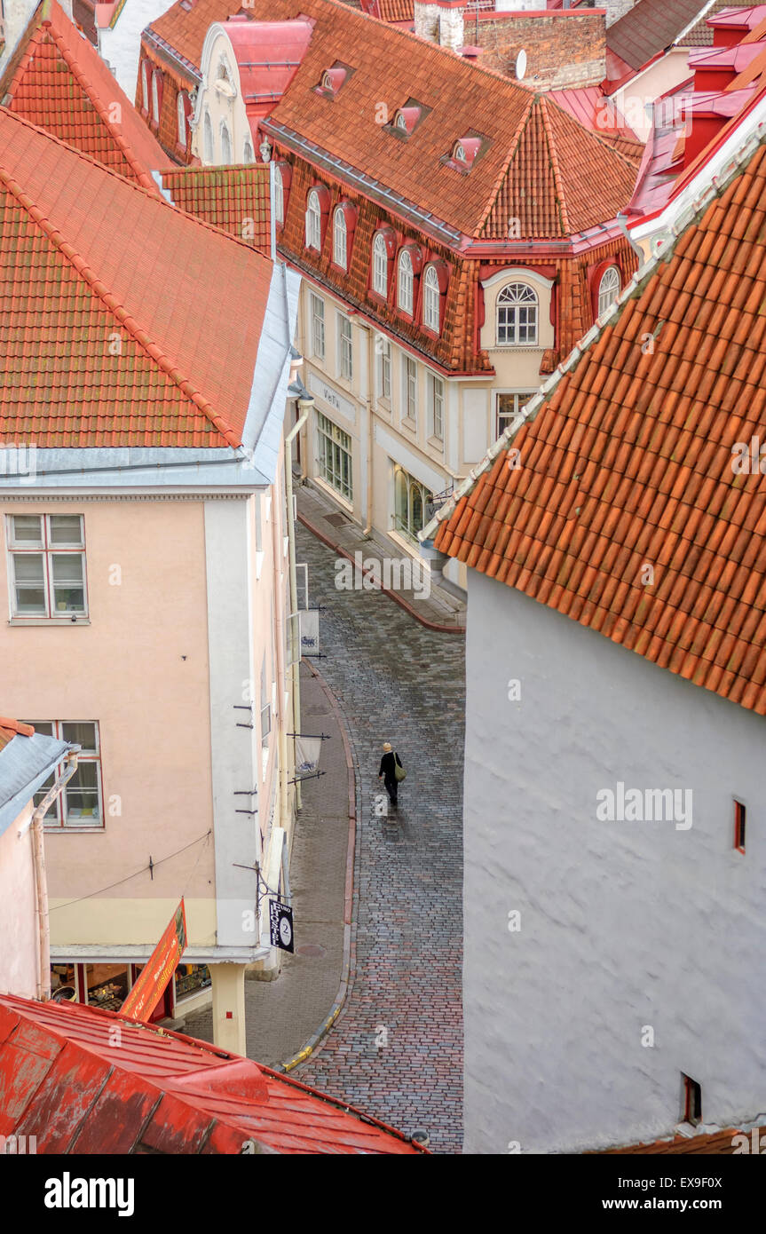 Strade acciottolate di Tallinn. Estonia Foto Stock