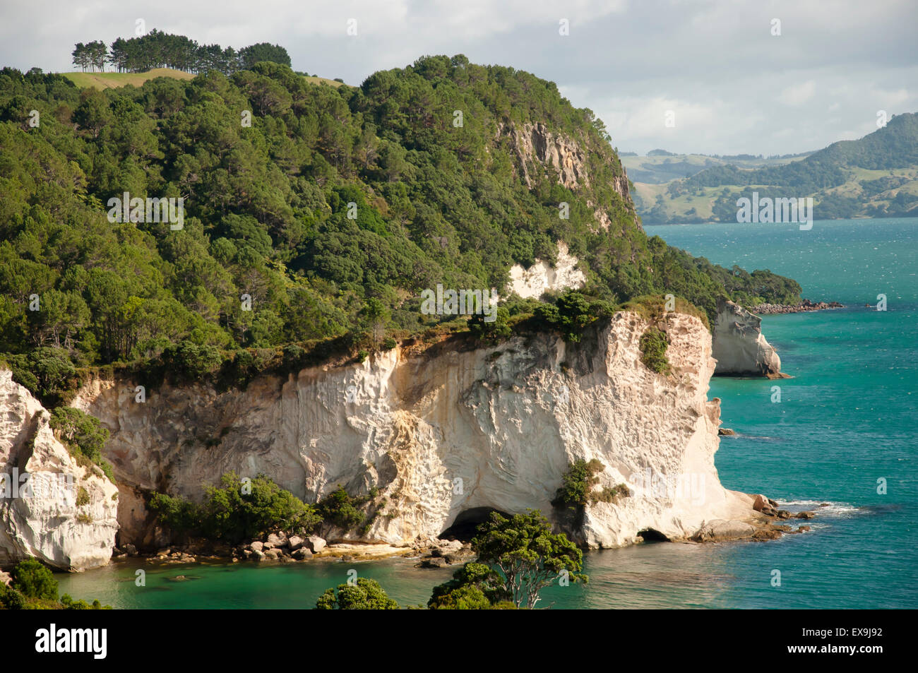 Penisola di Coromandel - Nuova Zelanda Foto Stock