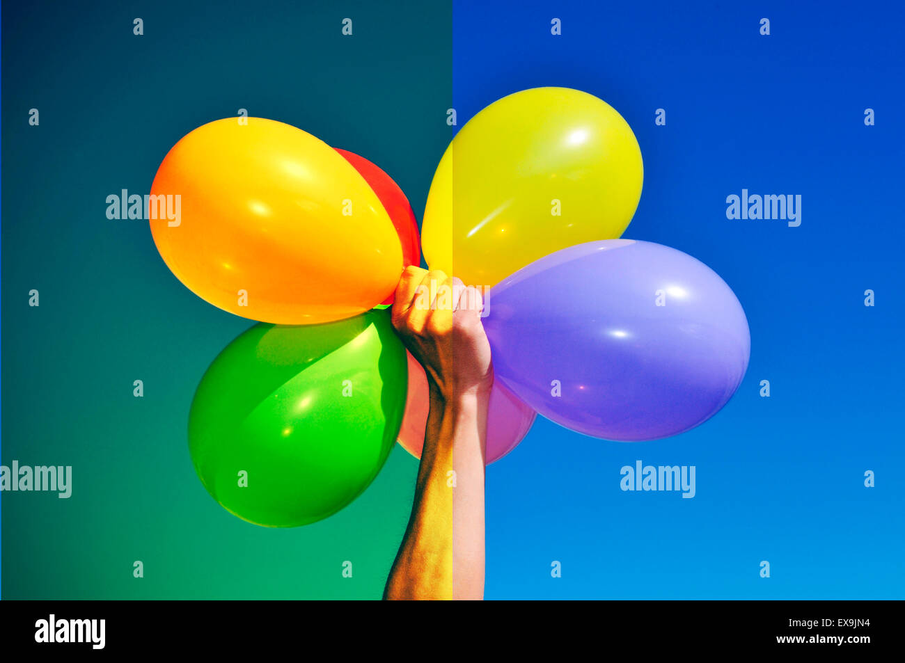 Uomo con un mucchio di palloncini di diversi colori prima di (a destra) e dopo (sinistra) applicando un filtro durante l'editing di immagini p Foto Stock