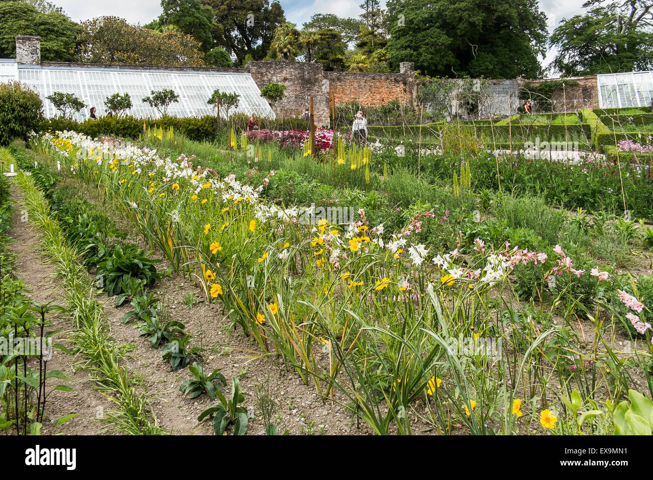 I visitatori godere guardando intorno il giardino vegetale in Lost Gardens of Heligan in Cornovaglia. Foto Stock