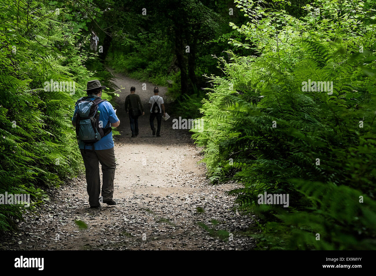Passeggiate turistiche attraverso il Lost Gardens of Heligan in Cornovaglia. Foto Stock