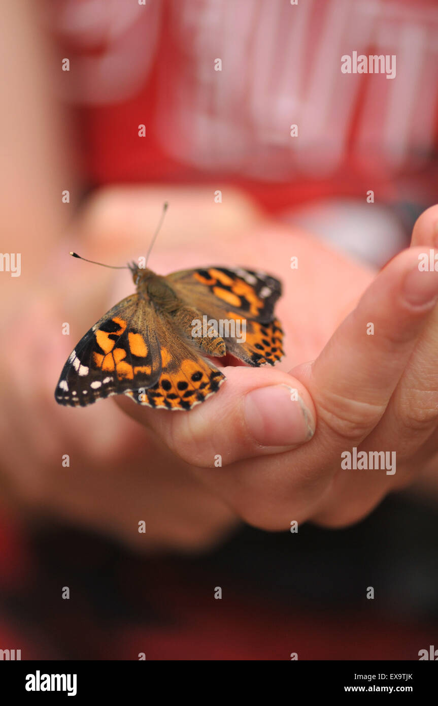 Un bambino la mano con un dipinto di lady butterfly Foto Stock