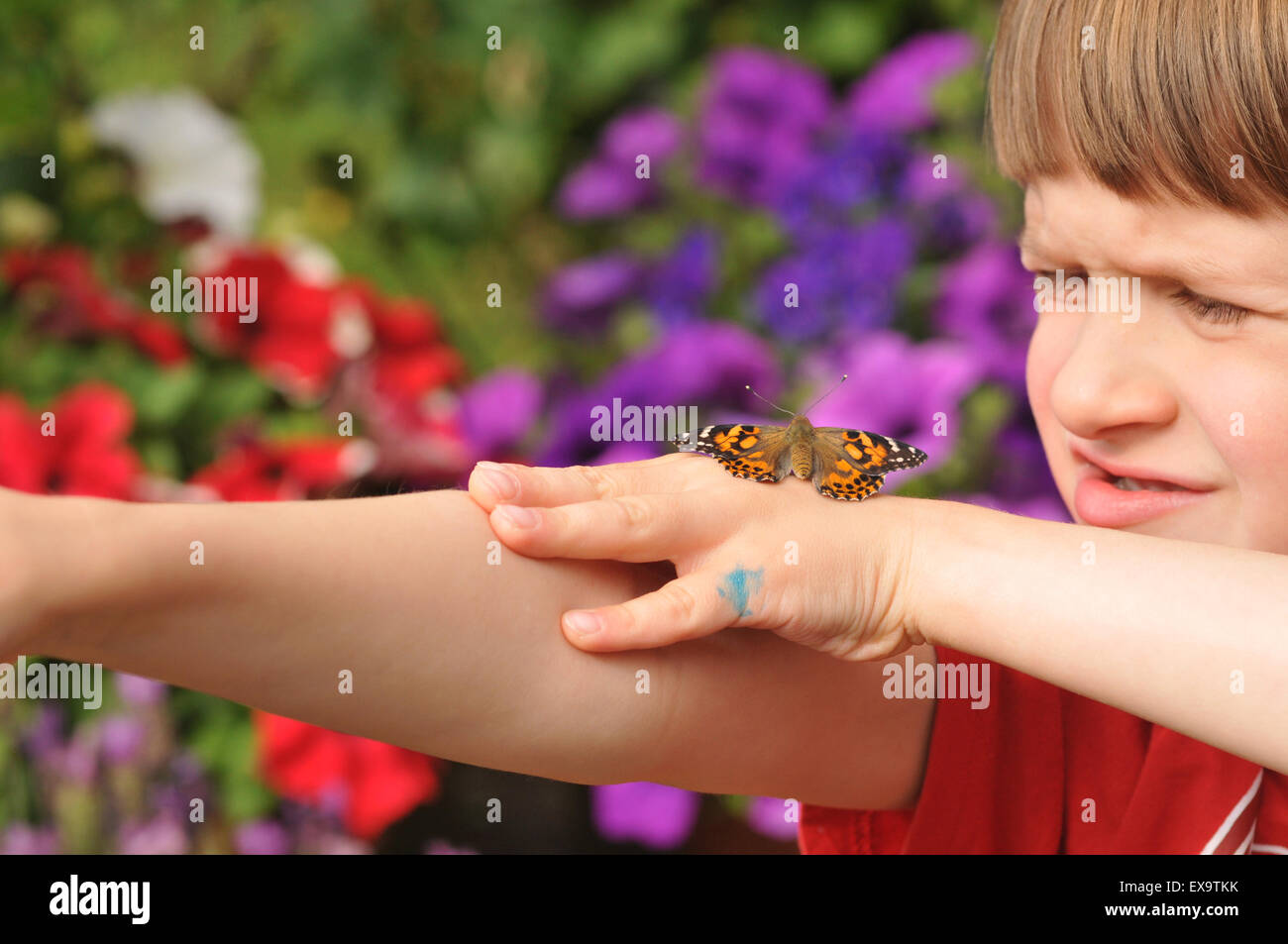 Un ragazzo con un dipinto di lady butterfly Foto Stock