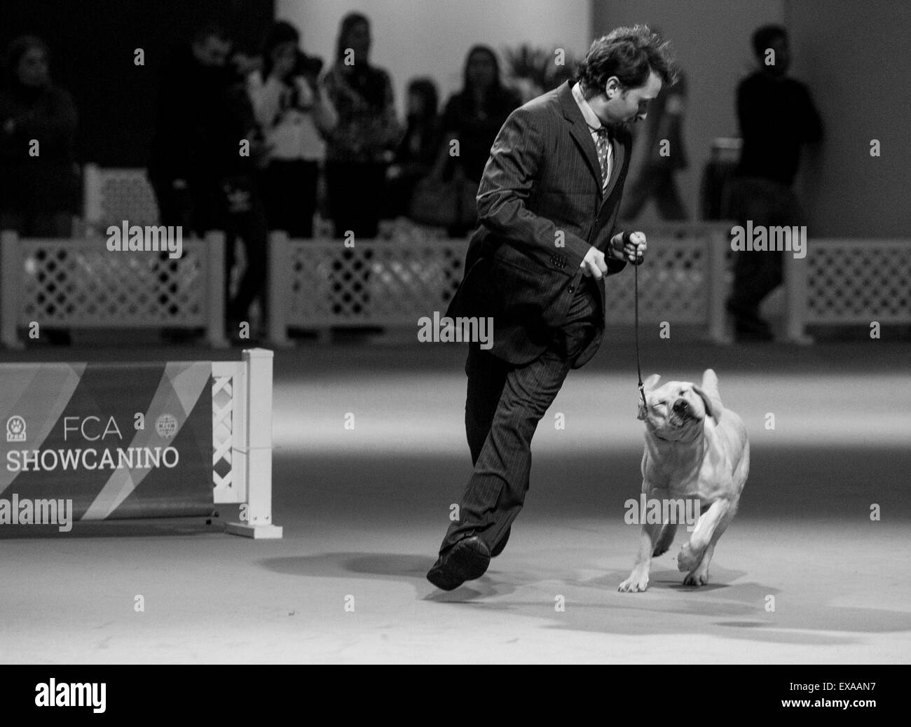 Buenos Aires, Argentina. 9 Luglio, 2015. Un istruttore mostra un Labrador a giudici durante la 'International Dog Show' in Buenos Aires, Argentina, 9 luglio 2015. Credito: Martin Zabala/Xinhua/Alamy Live News Foto Stock