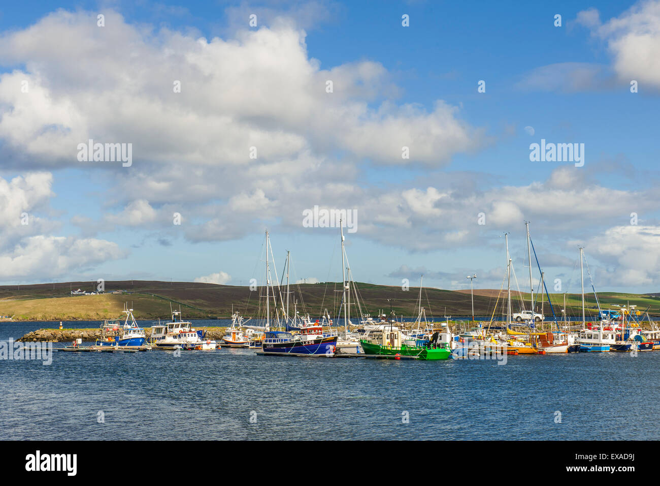 Marina e porto di pesca, Lerwick, la terraferma Orkney e Shetland Islands, Scotland, Regno Unito Foto Stock