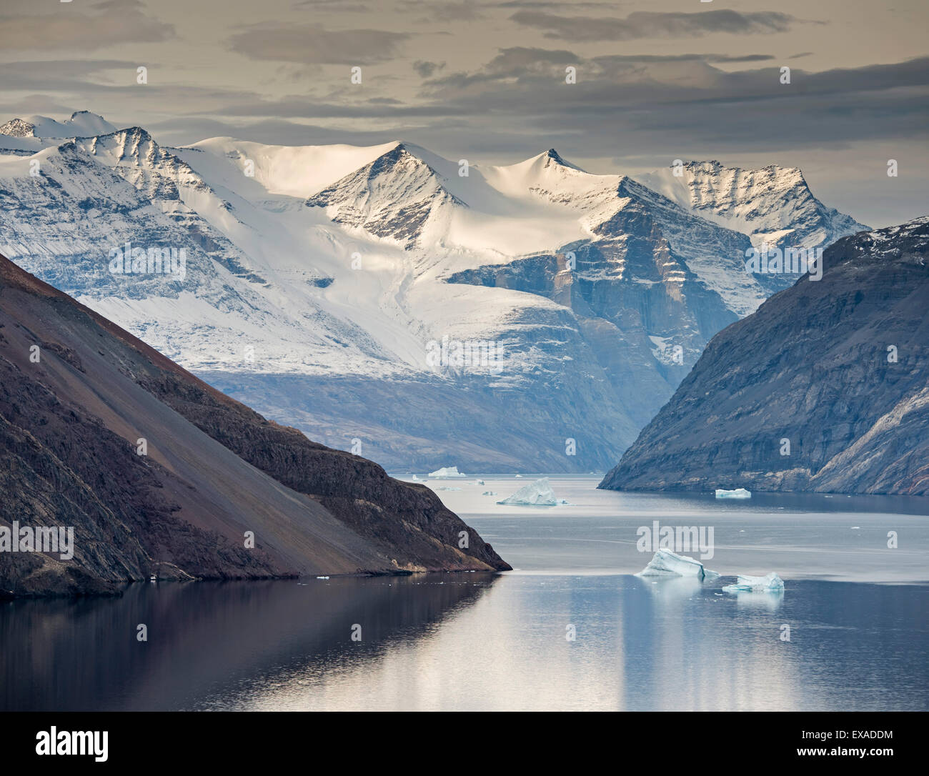 Pendii montani e le montagne nevose, iceberg nel Blomsterbugten, Kejser Franz Joseph fiordo, Nordest nazionale della Groenlandia Foto Stock