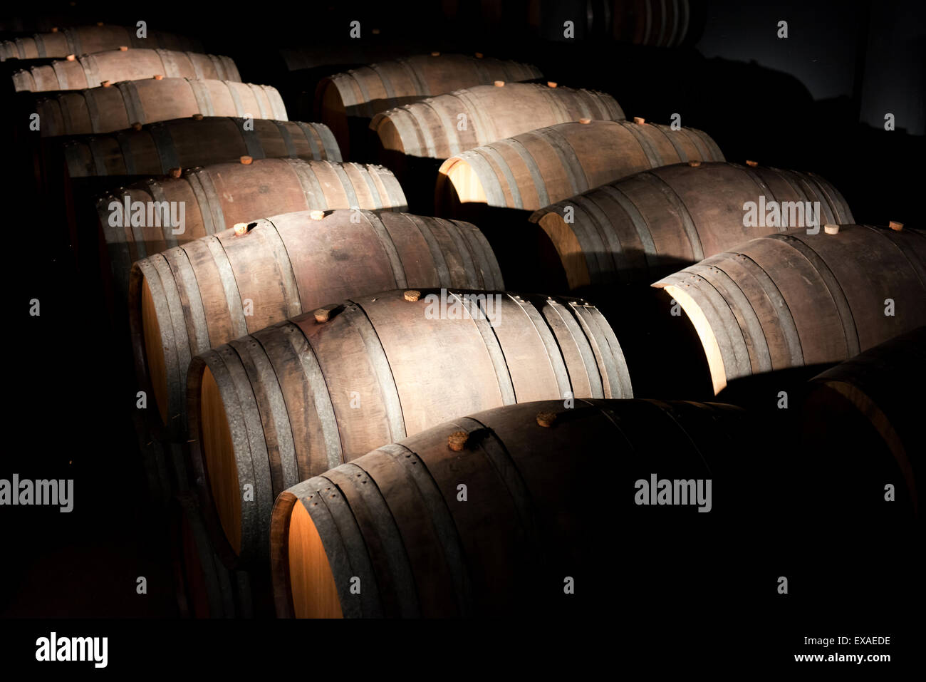 Porta botti di invecchiamento presso la cantina Sandeman. Foto Stock