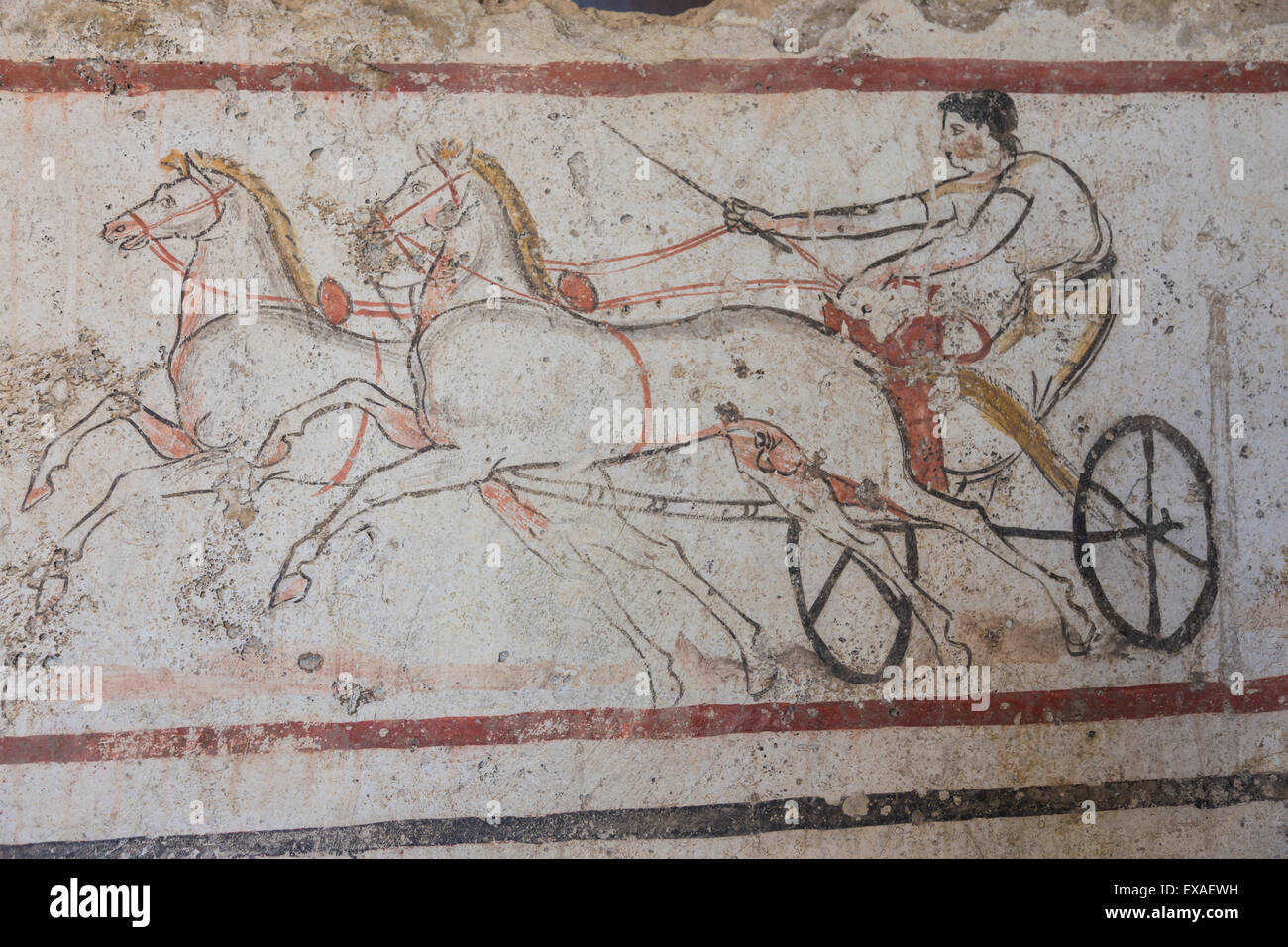 Auriga e cavalli, tomba dipinta bramma dettaglio, Museo Archeologico Nazionale di Paestum, sito UNESCO, Campania, Italia Foto Stock