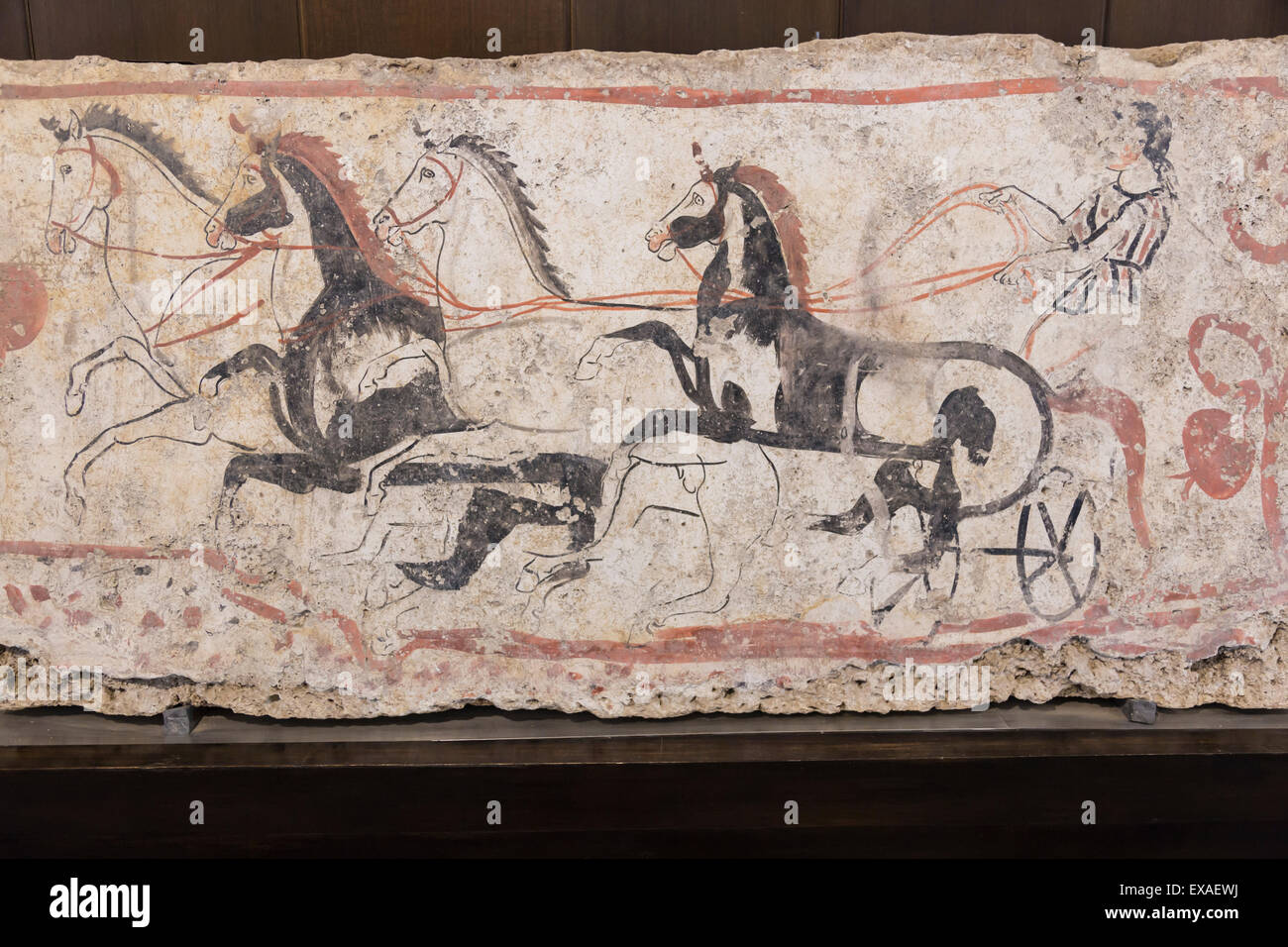 Auriga e cavalli, tomba dipinta bramma dettaglio, Museo Archeologico Nazionale di Paestum, sito UNESCO, Campania, Italia Foto Stock