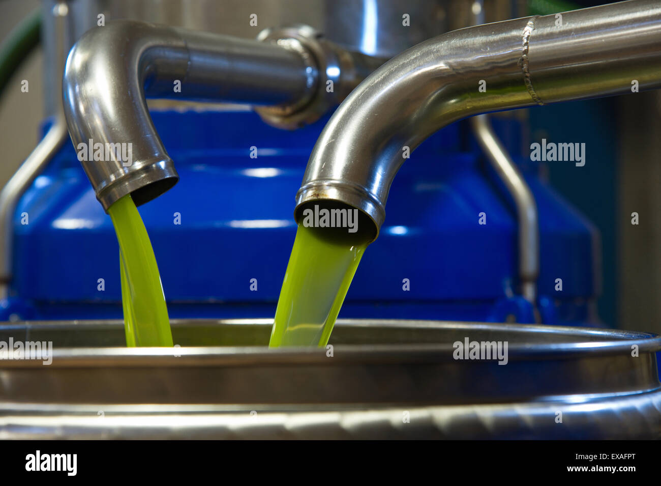 L'Italia, la Toscana, l'olio nell'impianto di produzione Foto Stock