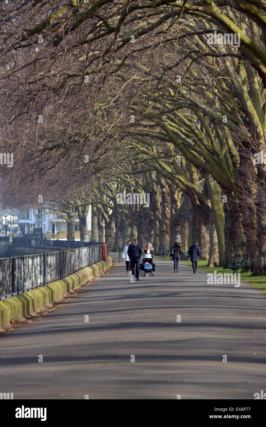 La gente camminare lungo un viale di platani a Wandsworth parco sulla riva sud del fiume Tamigi a Putney Foto Stock